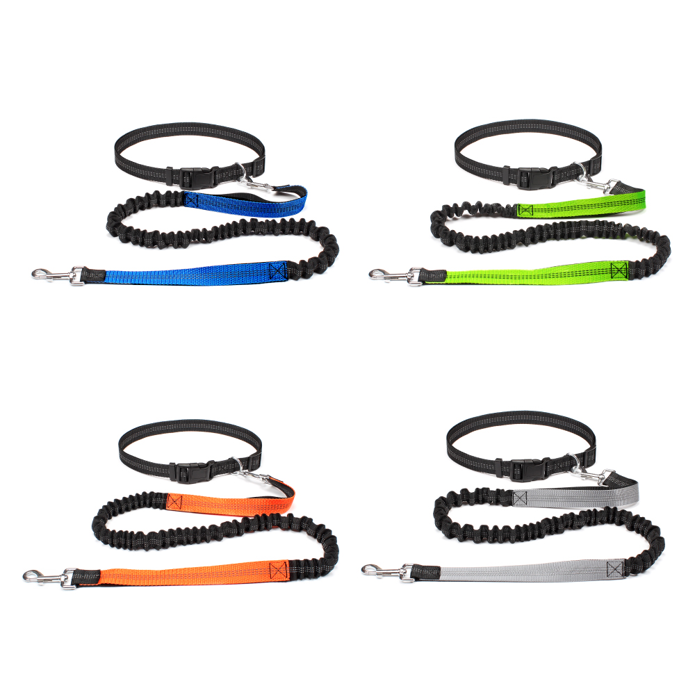 حزام كلب بدون استخدام اليدين ل - مراجعة Running Gear Holder وسعره